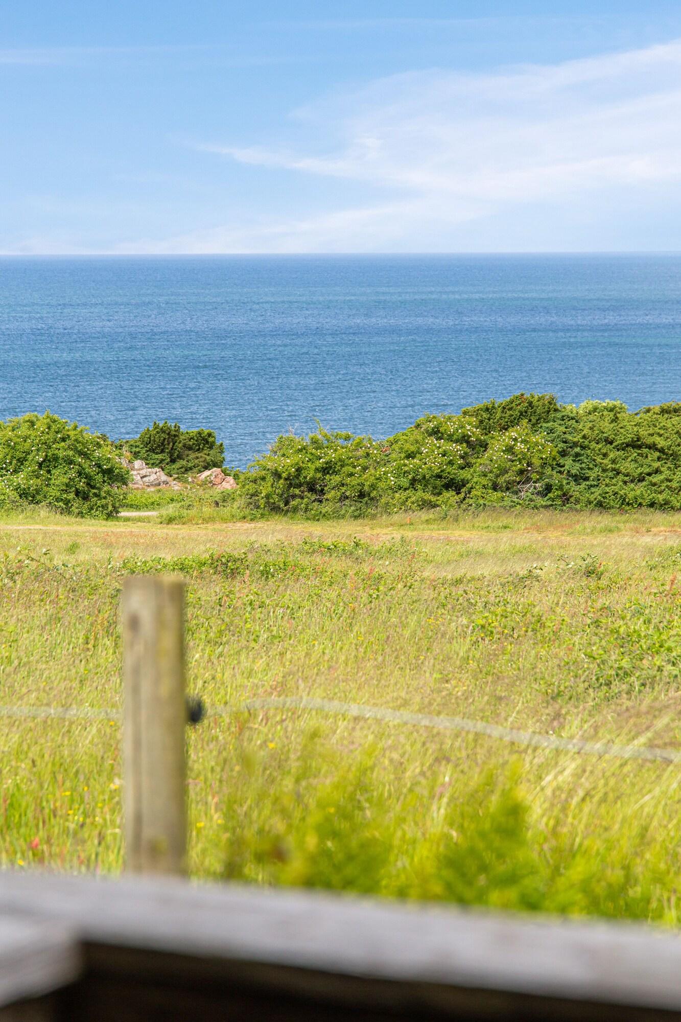 Hotell Och Restaurang Hovs Hallar Båstad エクステリア 写真