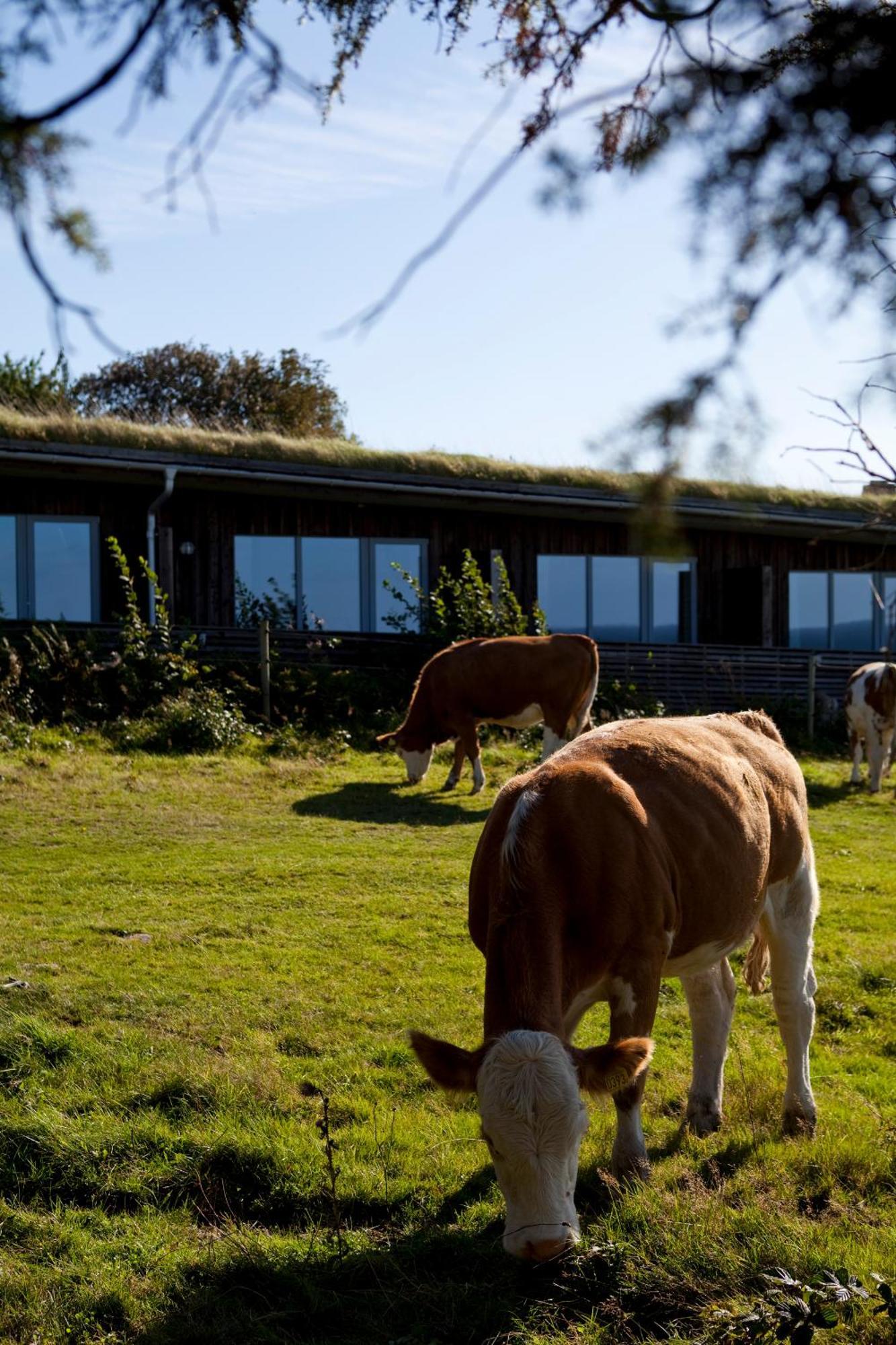 Hotell Och Restaurang Hovs Hallar Båstad エクステリア 写真