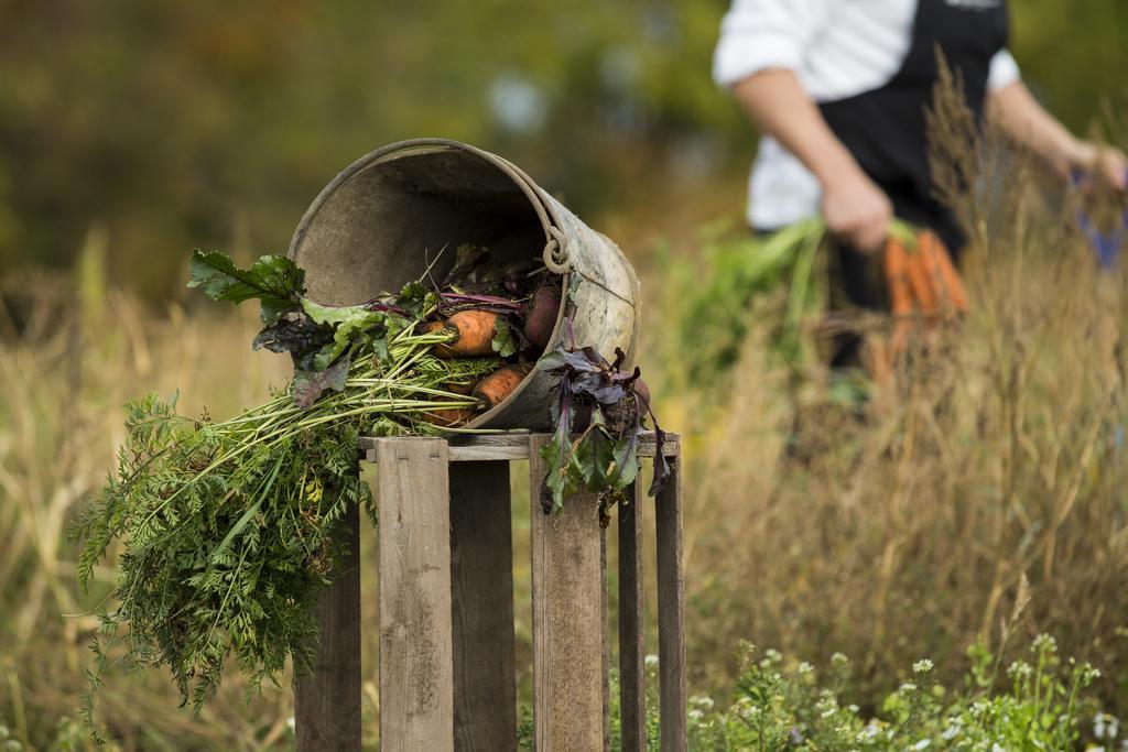 Hotell Och Restaurang Hovs Hallar Båstad エクステリア 写真